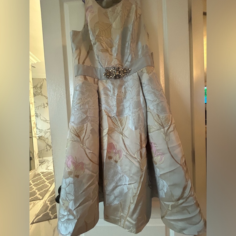 ElizaJ A-line Dress (wrinkled-needs steaming)